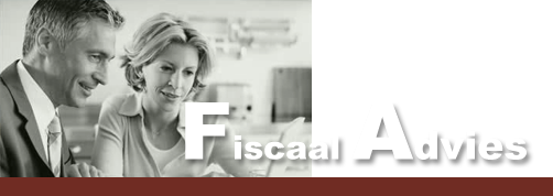 fiscaal advies